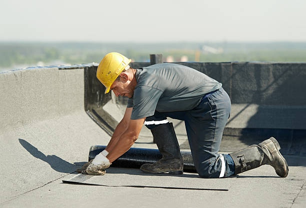 Best Commercial Insulation in Nocatee, FL